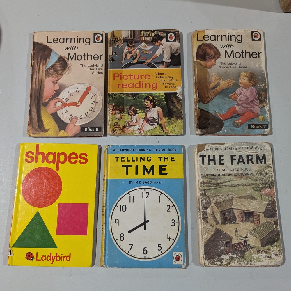 Vintage Rare 6 Pcs Ladybird Kids Learning Book